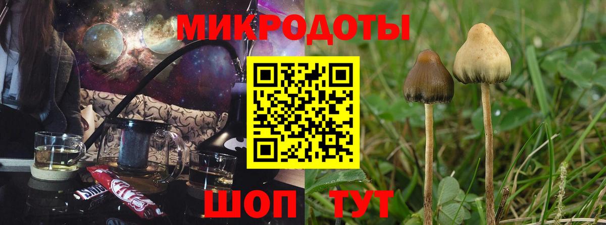 Псилоцибиновые грибы GOLDEN TEACHER Вятские Поляны